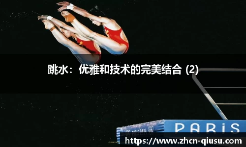 球速体育公司
